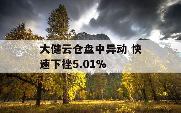 大健云仓盘中异动 快速下挫5.01%